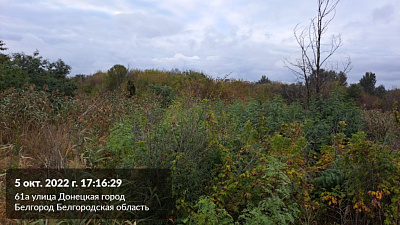 г. Белгород, ул Донецкая