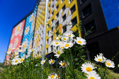 ЛО, г. Мурино