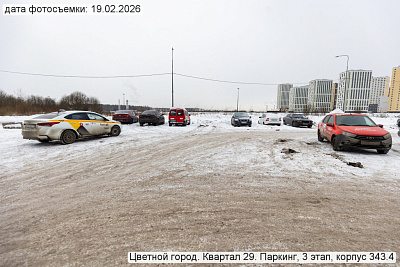 Цветной город