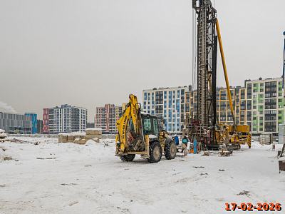 Янинский лес