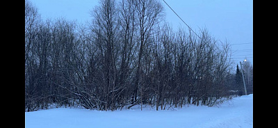 село С Новолуговое