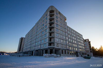 Экосити