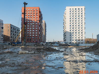 Янинский лес