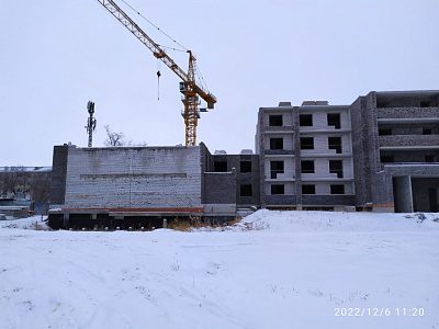 Дальневосточный Талисман