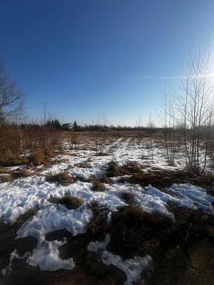 ЛО, г. Кингисепп