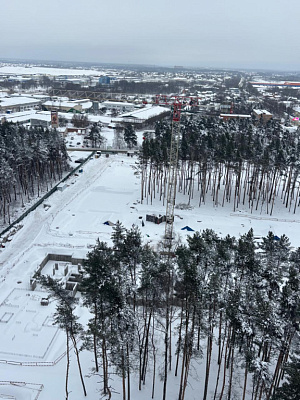 Михалевич
