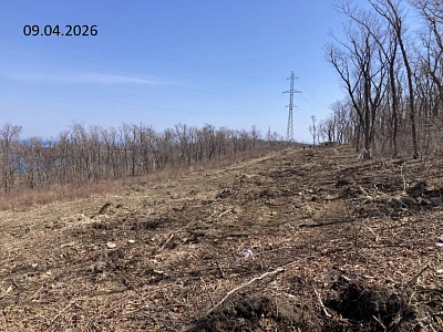 Твоя Привилегия