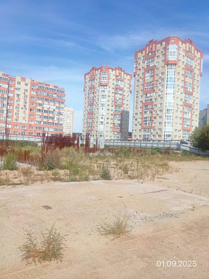 Мирапорт