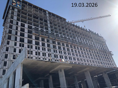 Платон Парк поз 1