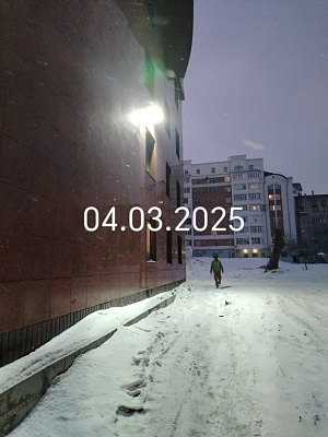 г. Барнаул, Улица Партизанская
