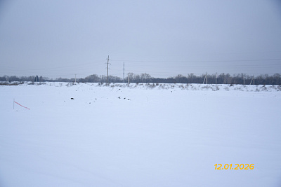 Рассвет
