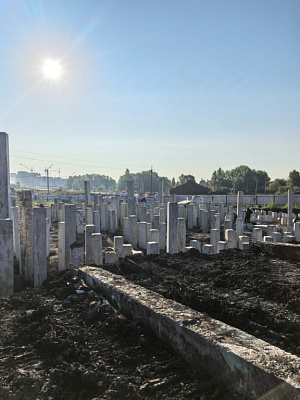 ГОРОД ПРИРОДЫ 