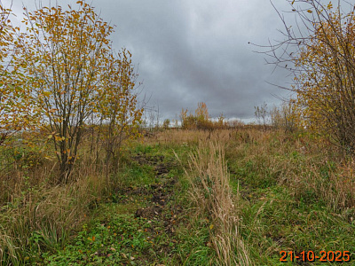 Таллинский парк