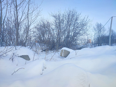 г. Новосибирск