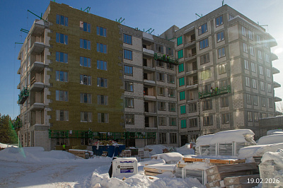 Экосити
