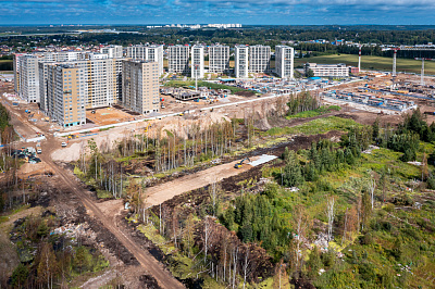 Парголово
