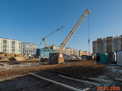 Янинский лес