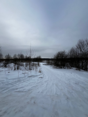 ЛО, г. Кингисепп