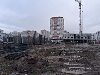 г. Брянск, Улица Романа Брянского