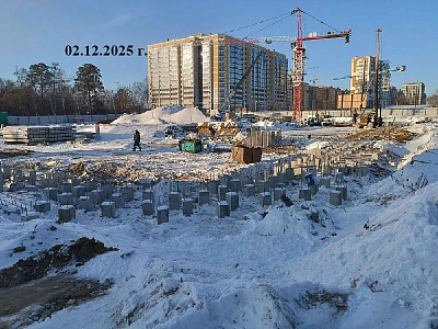 Левашевская роща