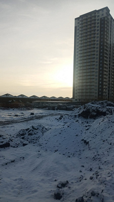Расцветай на Зорге