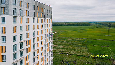 Невская Долина корпус 1.1