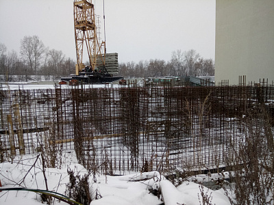 Березовая роща