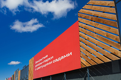 Брусника в Новоселье