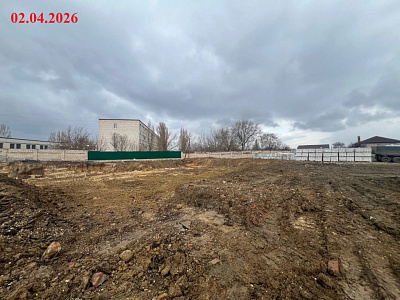 Крылья Качи 