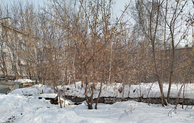 г. Новосибирск