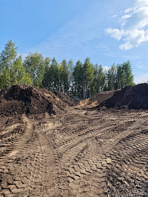 г. Бердск