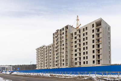 Янила Форест