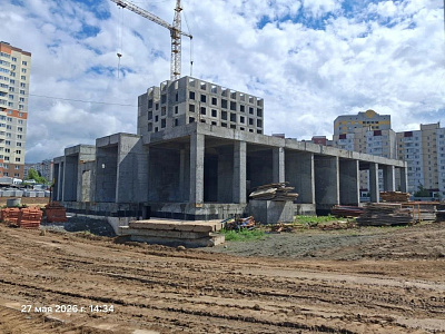 г. Брянск, Улица Романа Брянского