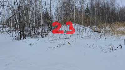 г. Бердск