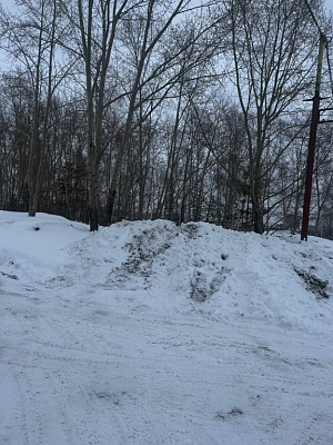 г. Новосибирск