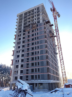 Норвежский лес