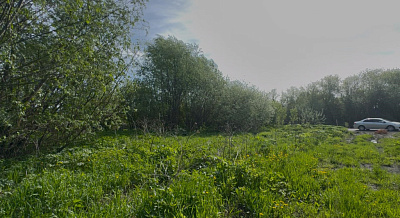 село С Новолуговое