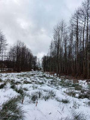 Комплекс апартаментов OTRADA resort
