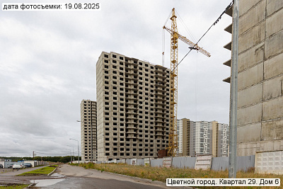 Цветной город