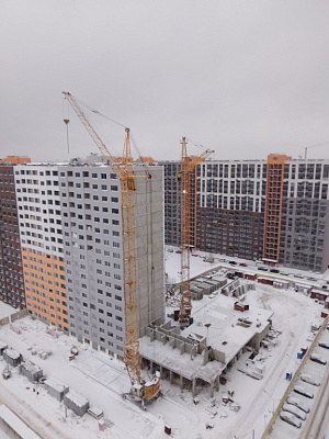 г. Воронеж, Улица