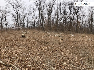 Твоя Привилегия