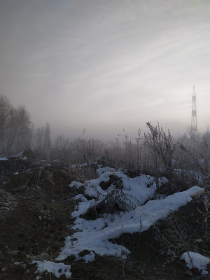 г. Новосибирск