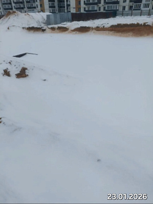 Деревня Борисовичи