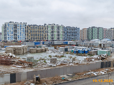 Янинский лес
