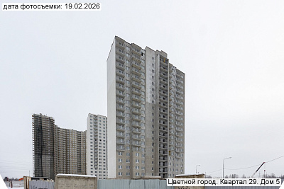 Цветной город