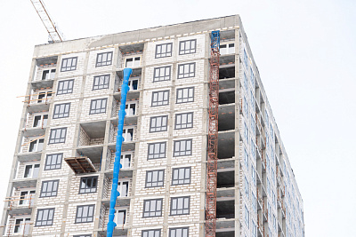 Аквилон Шайн