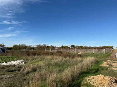 Село Новоселовка, Улица Виноградная