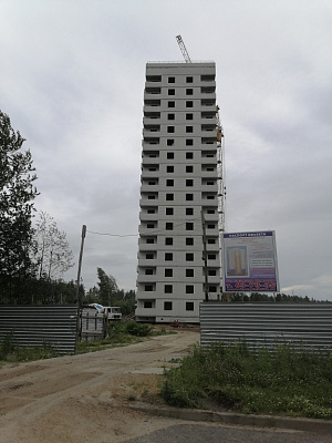 г. Брянск, Проспект Московский