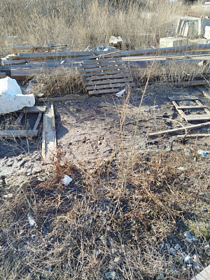 Расцветай на Зорге