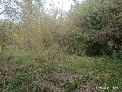 г. Новосибирск